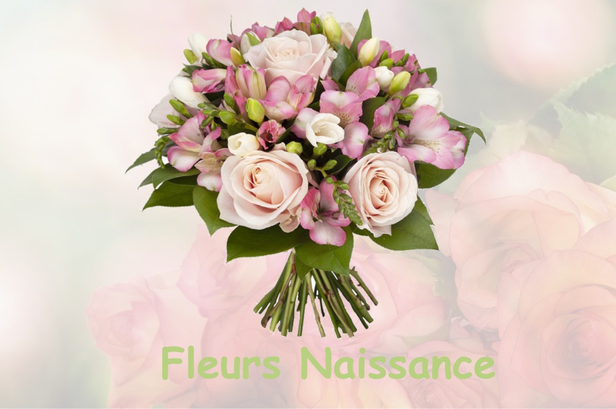 fleurs naissance LA-CHAUSSEE-SAINT-VICTOR