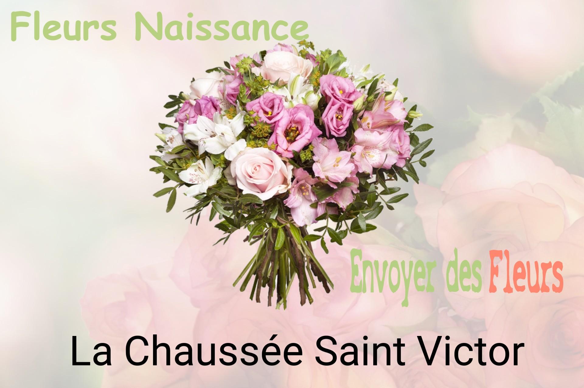 Bouquet de fleurs de naissance livré à La Chaussée-Saint-Victor