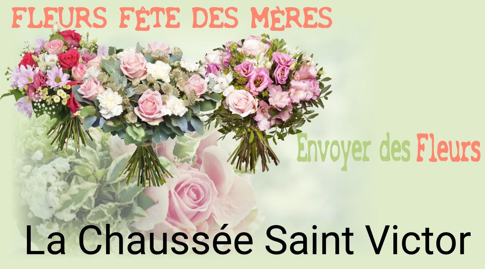 Bouquet de Fête des Mères livré à La Chaussée-Saint-Victor